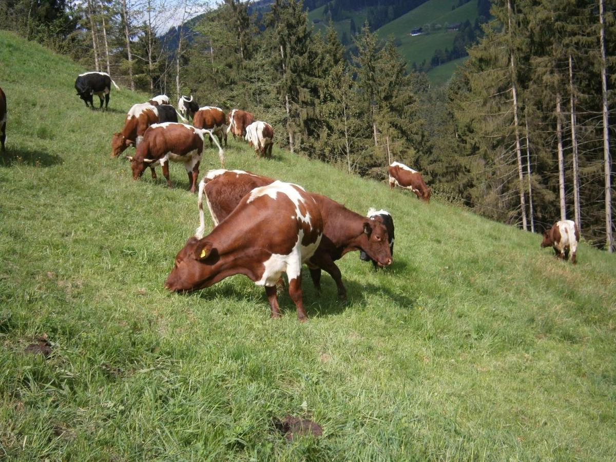 Filzenhof Kitzbühel Quarto foto
